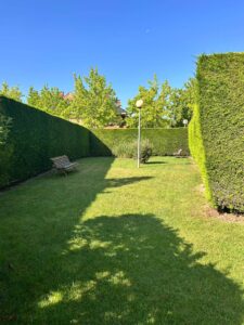 WhatsApp Image 2025-06-17 at 10.02.18 (1)