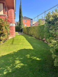 WhatsApp Image 2025-06-17 at 10.02.18